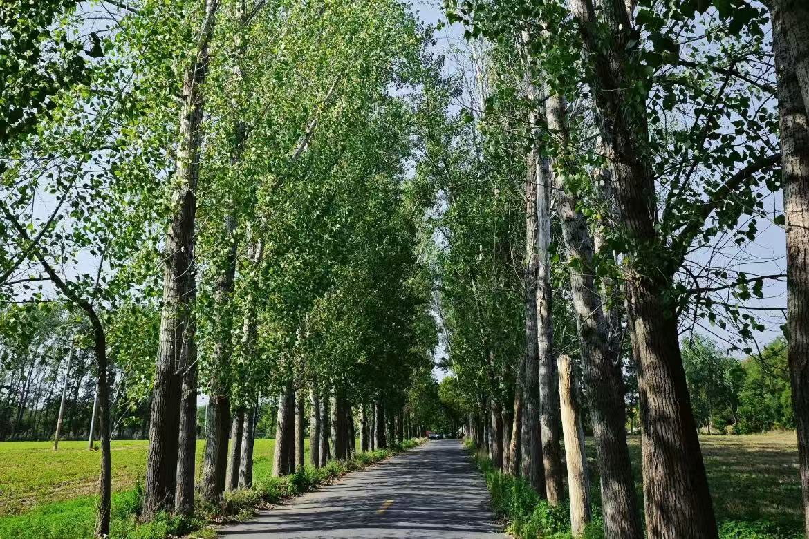 Xiajin Yellow River Ancient Road Park